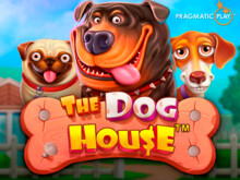 Play The Dog House slot machine at 888bet Casino